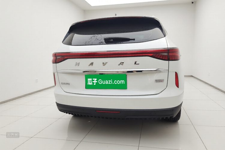 Haval H6 2023 car image #6