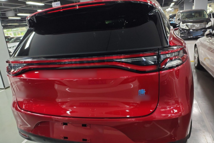 BYD Tang New Energy 2019 car image #6