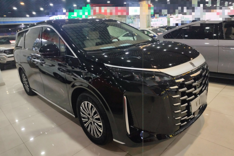 BYD Xia 2024 imagen de coche #6