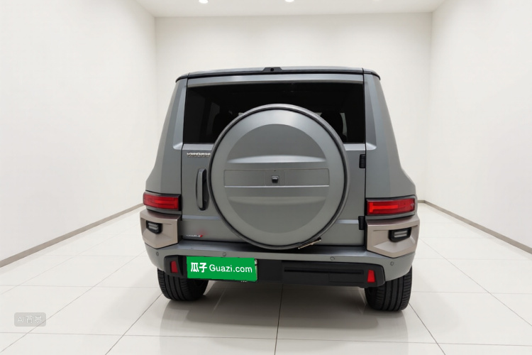 Tank 700 New Energy 2024 car image #6