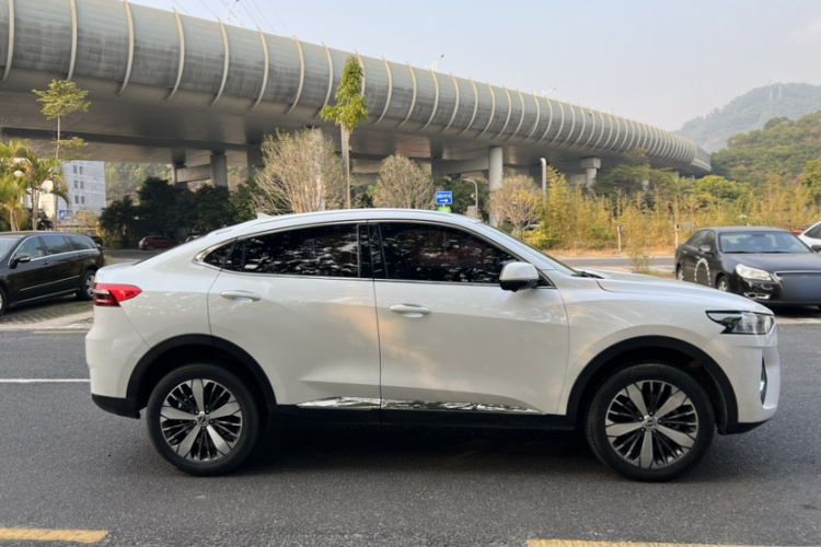 Haval F7x 2020 #6 Haval F7x 2020 immagine di auto #6