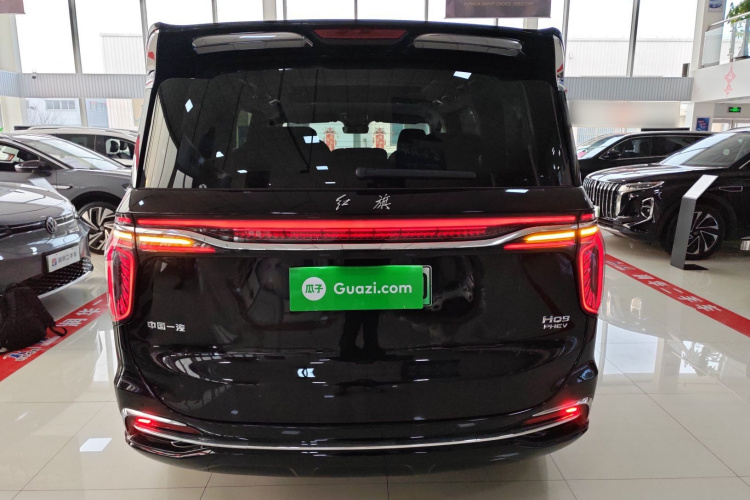 HongQi HQ9 PHEV 2024 #6 HongQi HQ9 PHEV 2024 car image #6