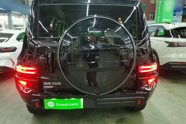 Tank 700 New Energy 2024 car image #6