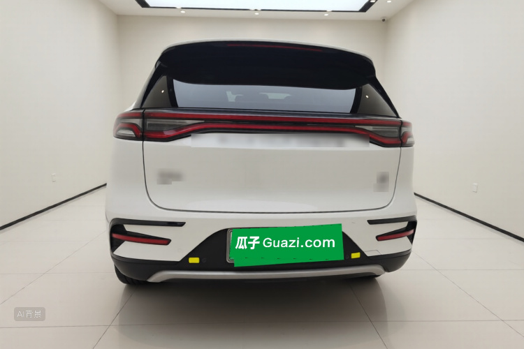 BYD Tang New Energy 2020 car image #6