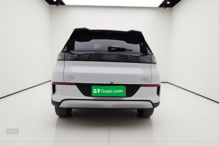 BYD Sea Lion 05 EV 2025 car image #6