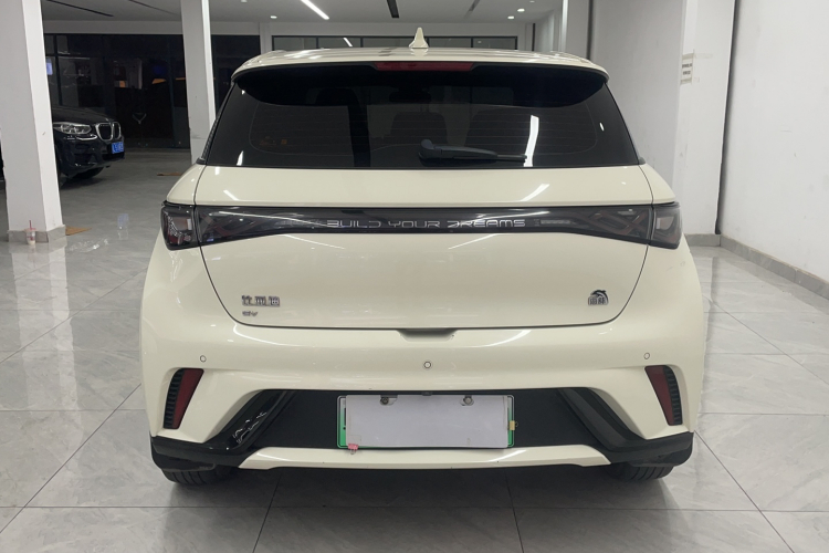 BYD Dolphin 2023 car image #6
