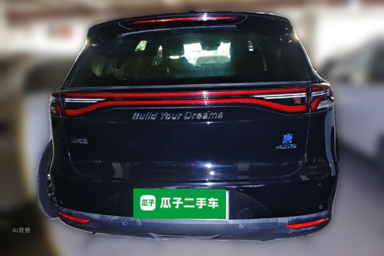 BYD Tang New Energy 2018 car image #6