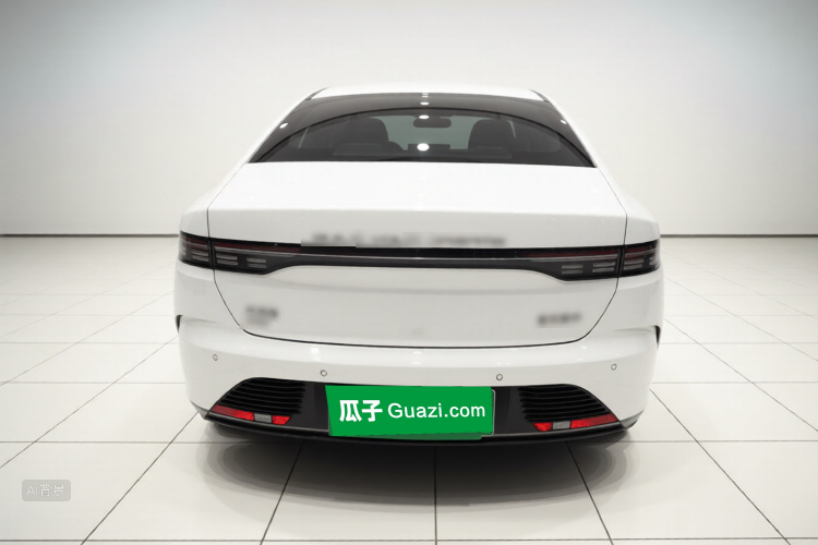 BYD Destroyer 05 2023 car image #6