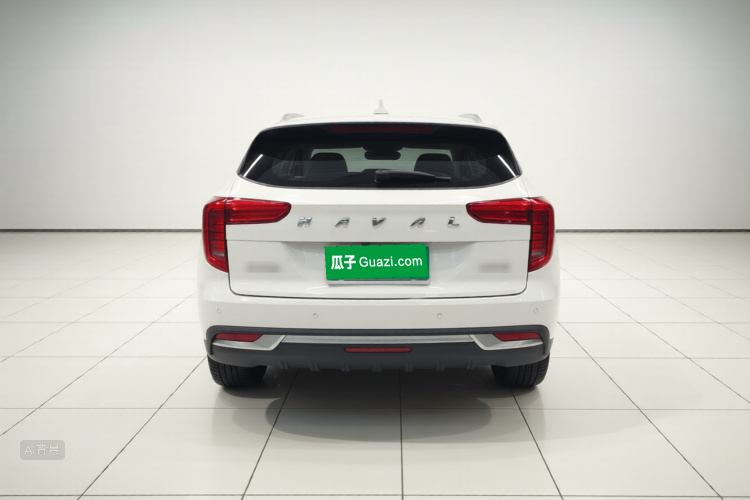 Haval Jolion 2021 car image #6