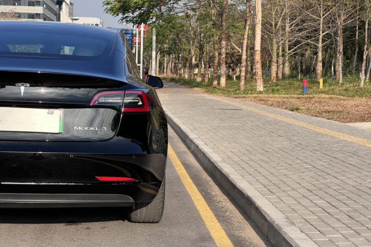 Tesla Model 3 2020 car image #6