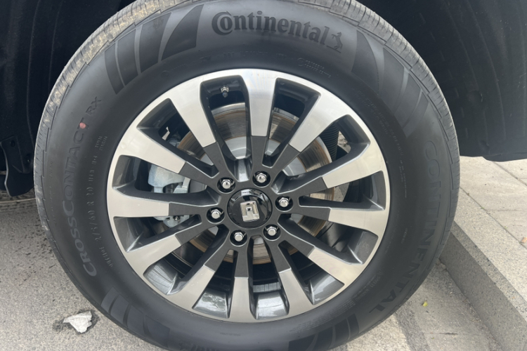 Tank 700 New Energy 2024 #6 Tank 700 New Energy 2024 immagine di auto #6