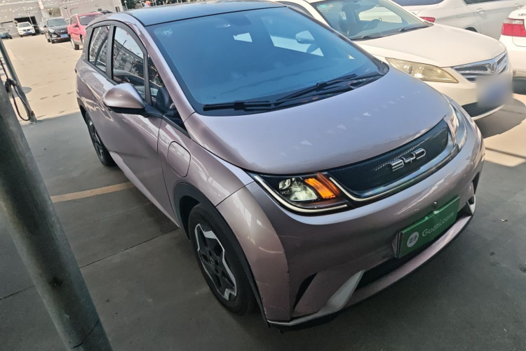 BYD Dolphin 2022 #6 BYD Dolphin 2022 car image #6