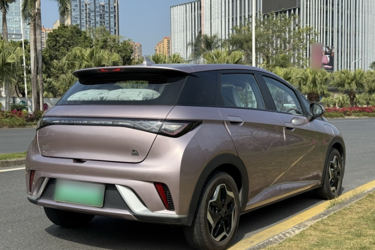 BYD Dolphin 2023 car image #6