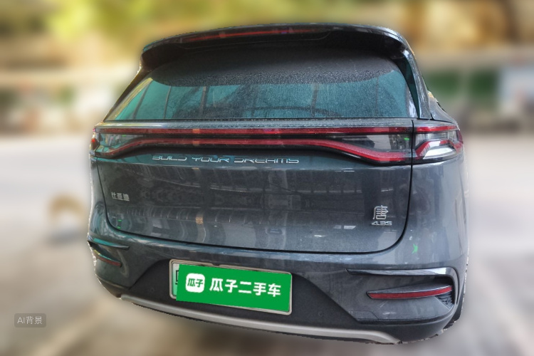 BYD Tang New Energy 2021 car image #6