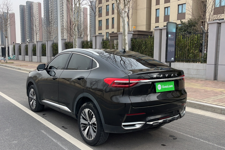 Haval F7x 2020 car image #6