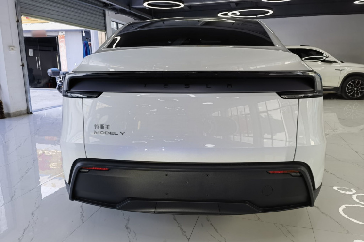 Tesla Model Y car image #6