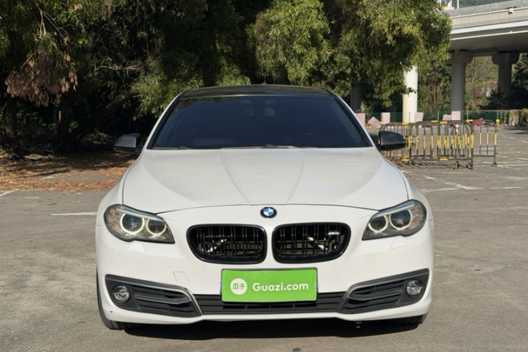 BMW 5 Series 2014 car image #6