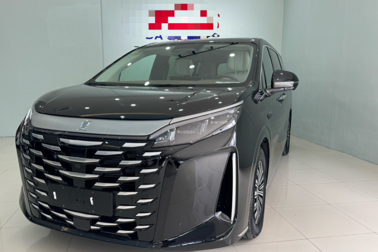 BYD Xia 2024 imagen de coche #6