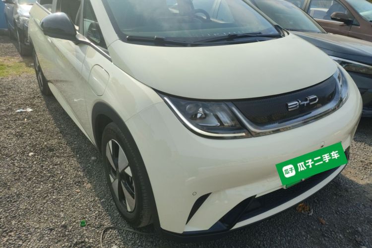 BYD Dolphin 2024 #6 BYD Dolphin 2024 car image #6