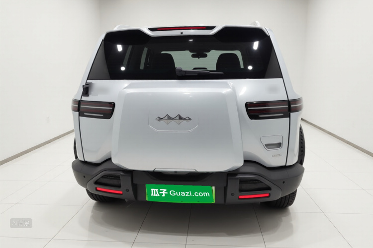 FangChengBao Tiger 3 2025 car image #6