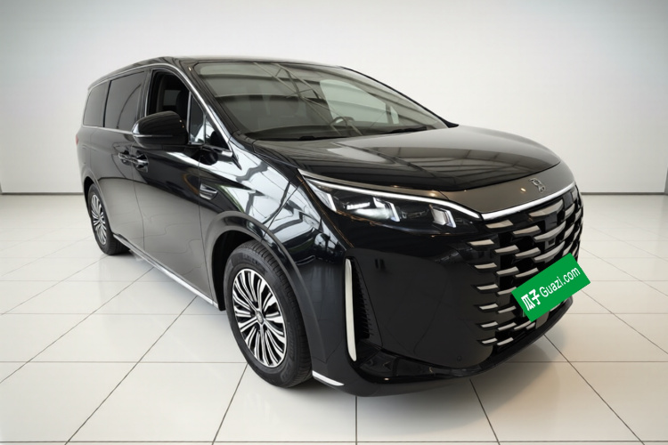 BYD Xia 2025 imagen de coche #6
