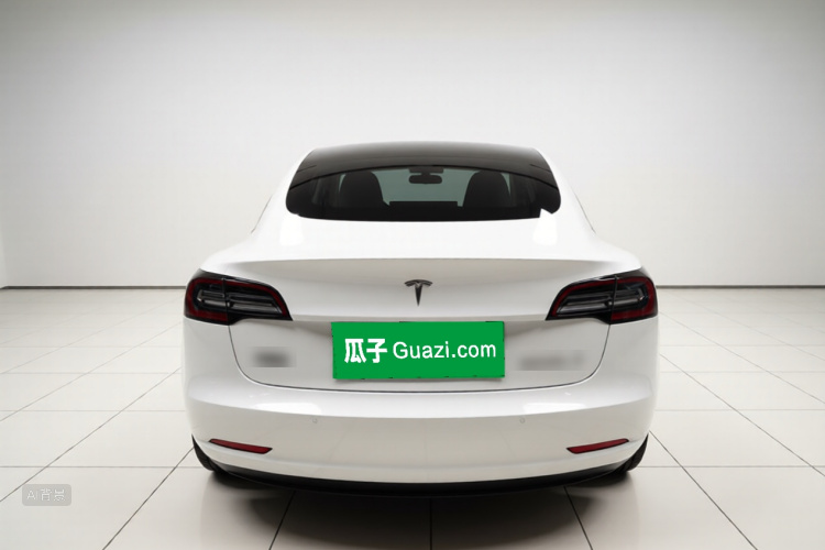 Tesla Model 3 2021 #6 Tesla Model 3 2021 car image #6