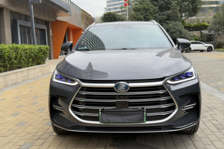 BYD Tang New Energy 2022 car image #6