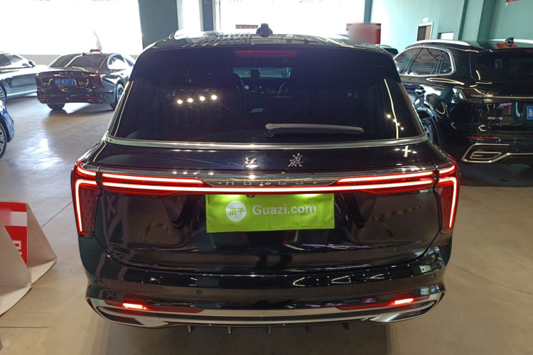 HongQi E-HS9 2021 صورة سيارة #6