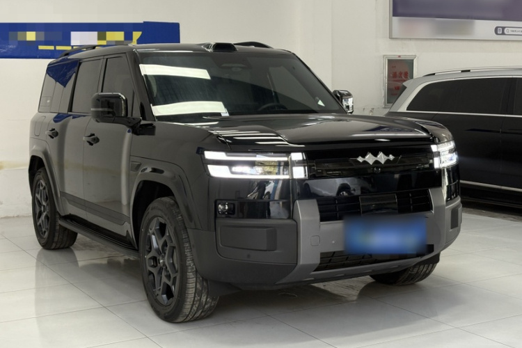 FangChengBao Tiger 7 2025 car image #6