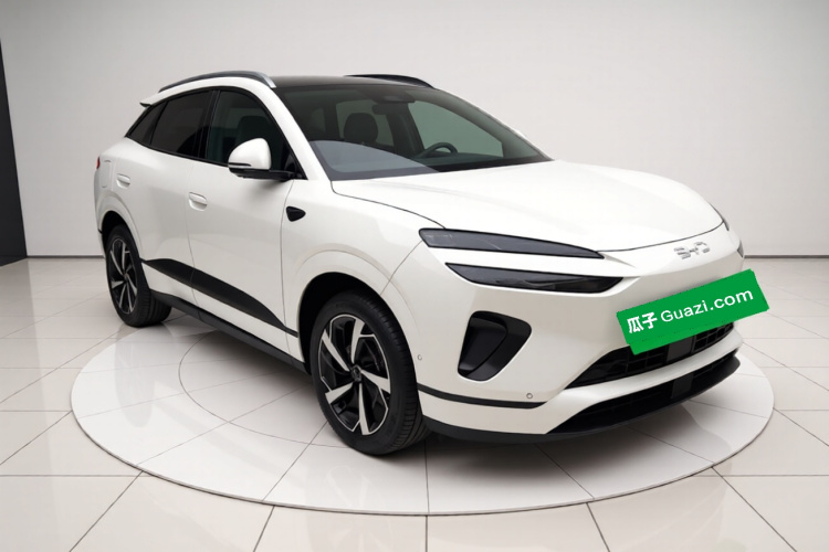 BYD Sea Lion 06 New Energy 2025 car image #6