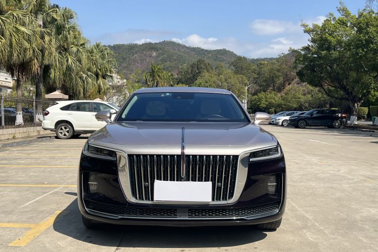 HongQi H9 2021 car image #6