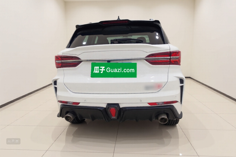 SWM G01 2020 immagine di auto #6