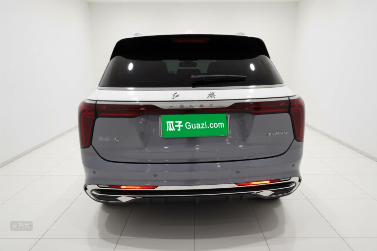 HongQi E-HS9 2022 car image #6