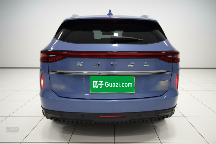 Haval H6 2021 immagine di auto #6