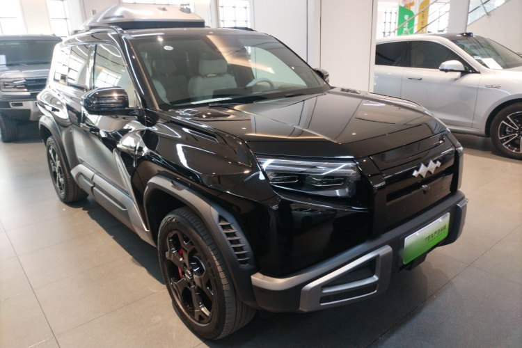 FangChengBao Tiger 3 2025 car image #6