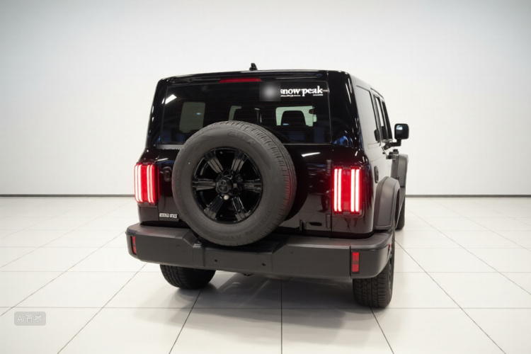 Tank 300 2025 car image #6