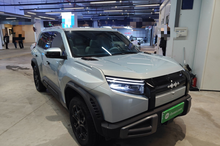 FangChengBao Tiger 3 2025 car image #6