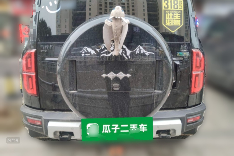 FangChengBao Leopard 5 2025 car image #6