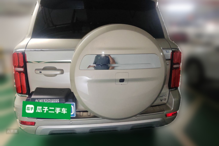 Tank 500 2023 immagine di auto #6