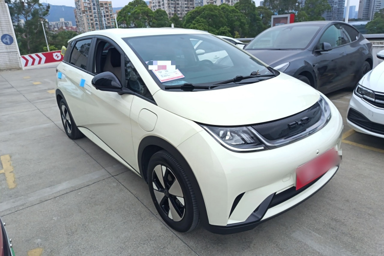 BYD Dolphin 2024 car image #6