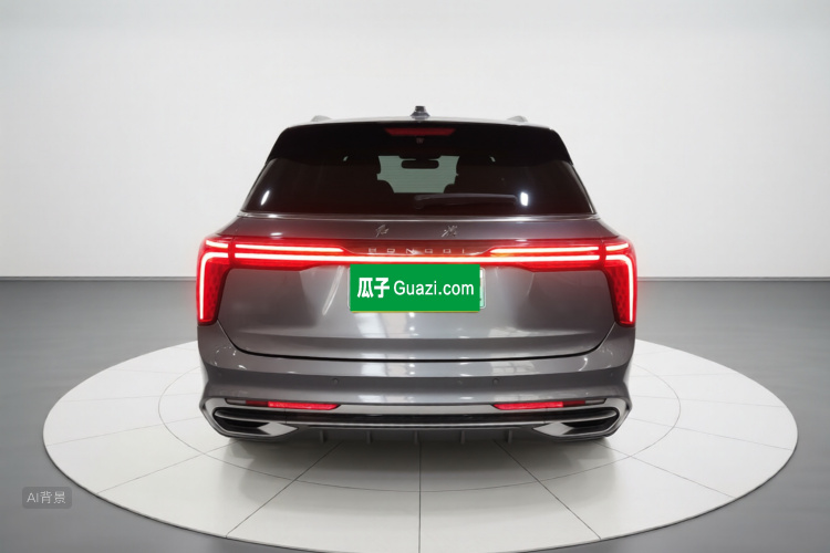 HongQi E-HS9 2023 car image #6