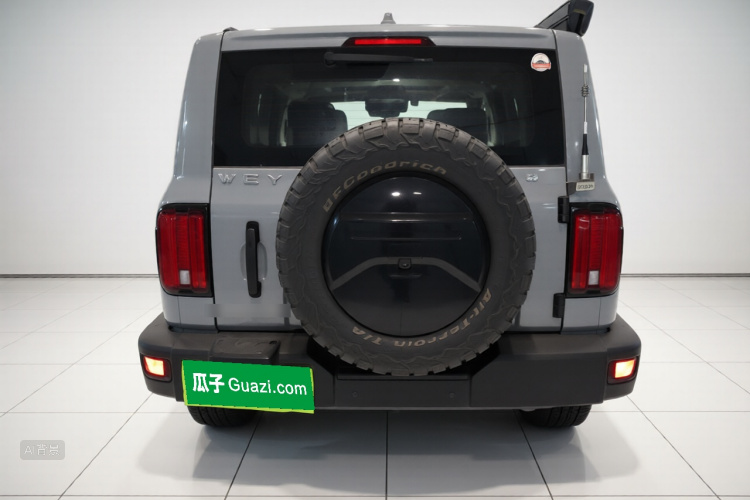 Tank 300 2021 immagine di auto #6