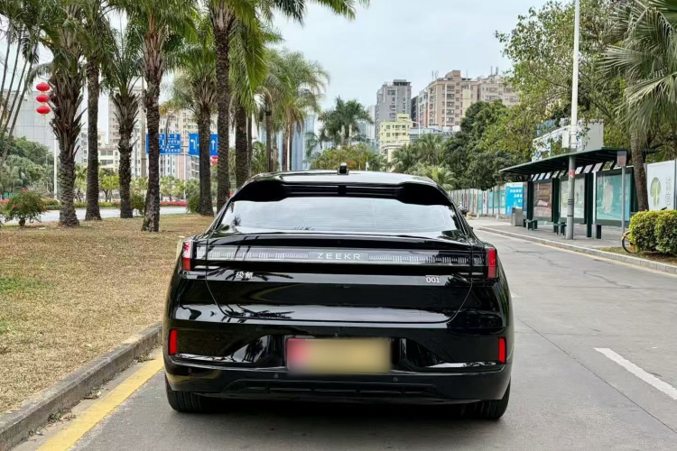 极氪 极氪001 2024 汽车图片 #6