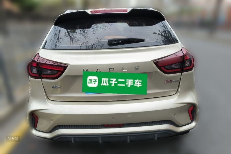 X3 PRO 2023 #6 X3 PRO 2023 car image #6