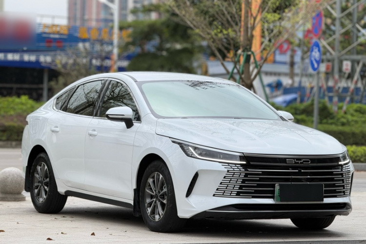 BYD Destroyer 05 2024 imagen de coche #6