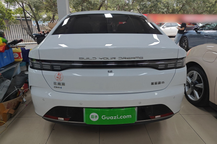 BYD Destroyer 05 2023 imagen de coche #6