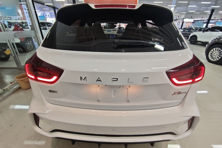X3 PRO 2023 #6 X3 PRO 2023 car image #6