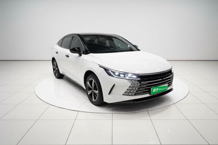 BYD Destroyer 05 2023 car image #6