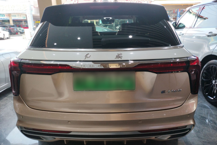 HongQi E-HS9 2021 imagem de carro #6