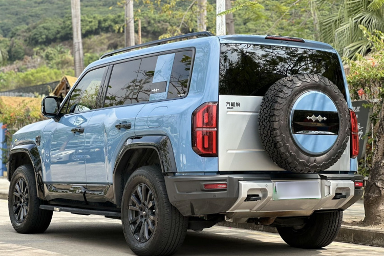 FangChengBao Leopard 5 2024 car image #6